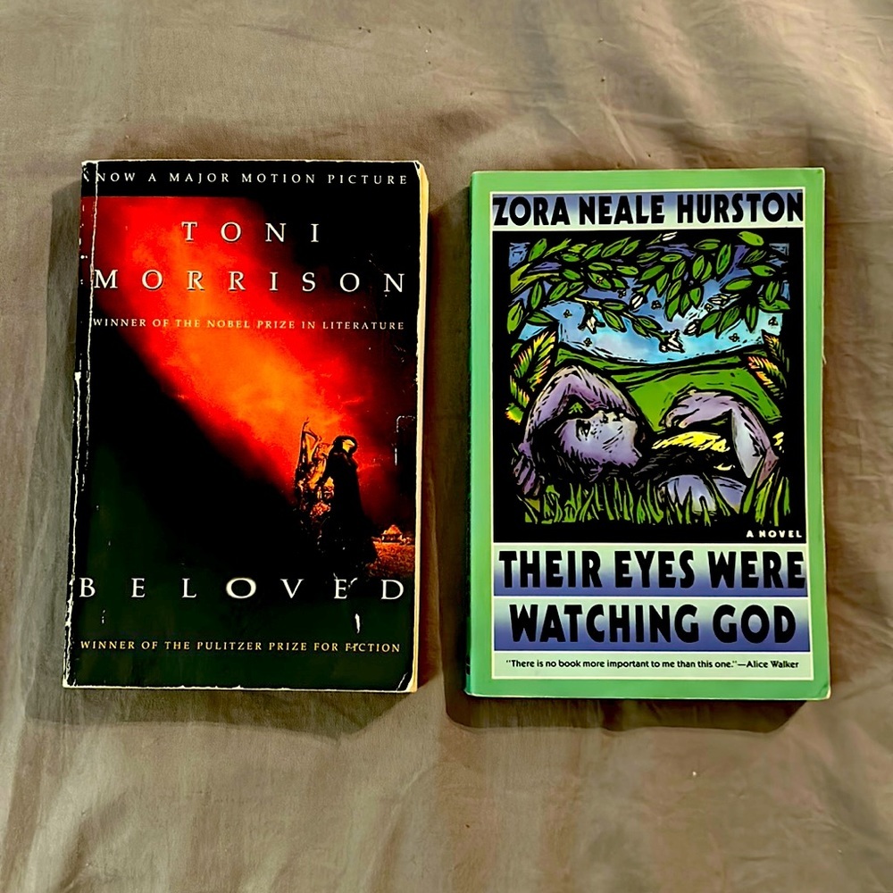 💕3/$20 Lot of Two Classic American Novelist Books